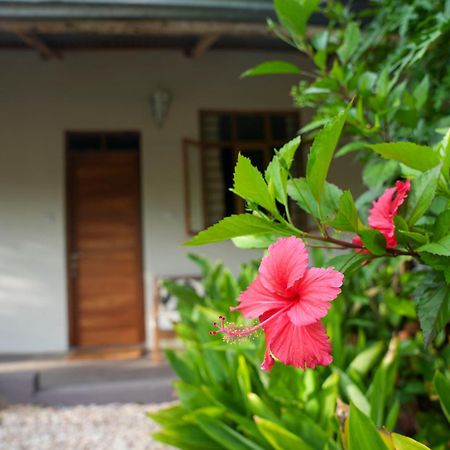 Kendwa Breeze Bungalows Экстерьер фото