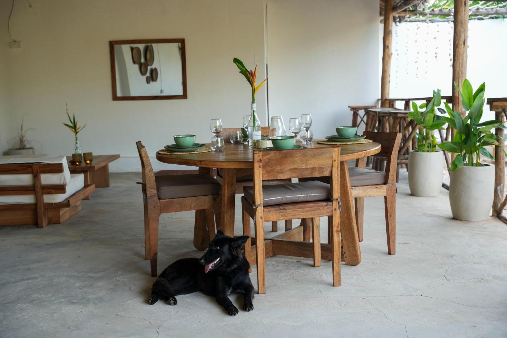 Kendwa Breeze Bungalows Экстерьер фото